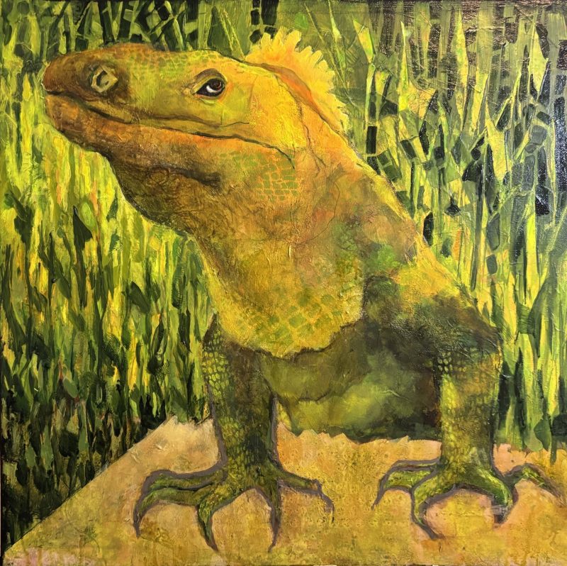 Diria Iguana, painting by Phyllis Charles