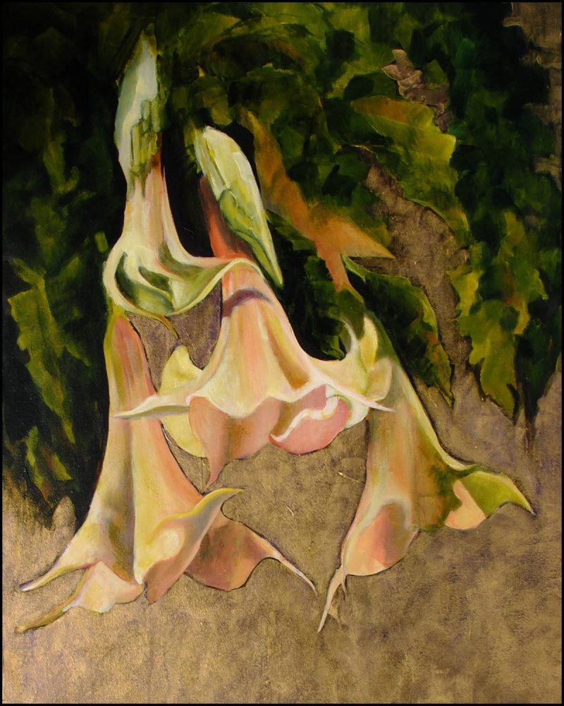 Brugmansia 4, painting by Phyllis Charles