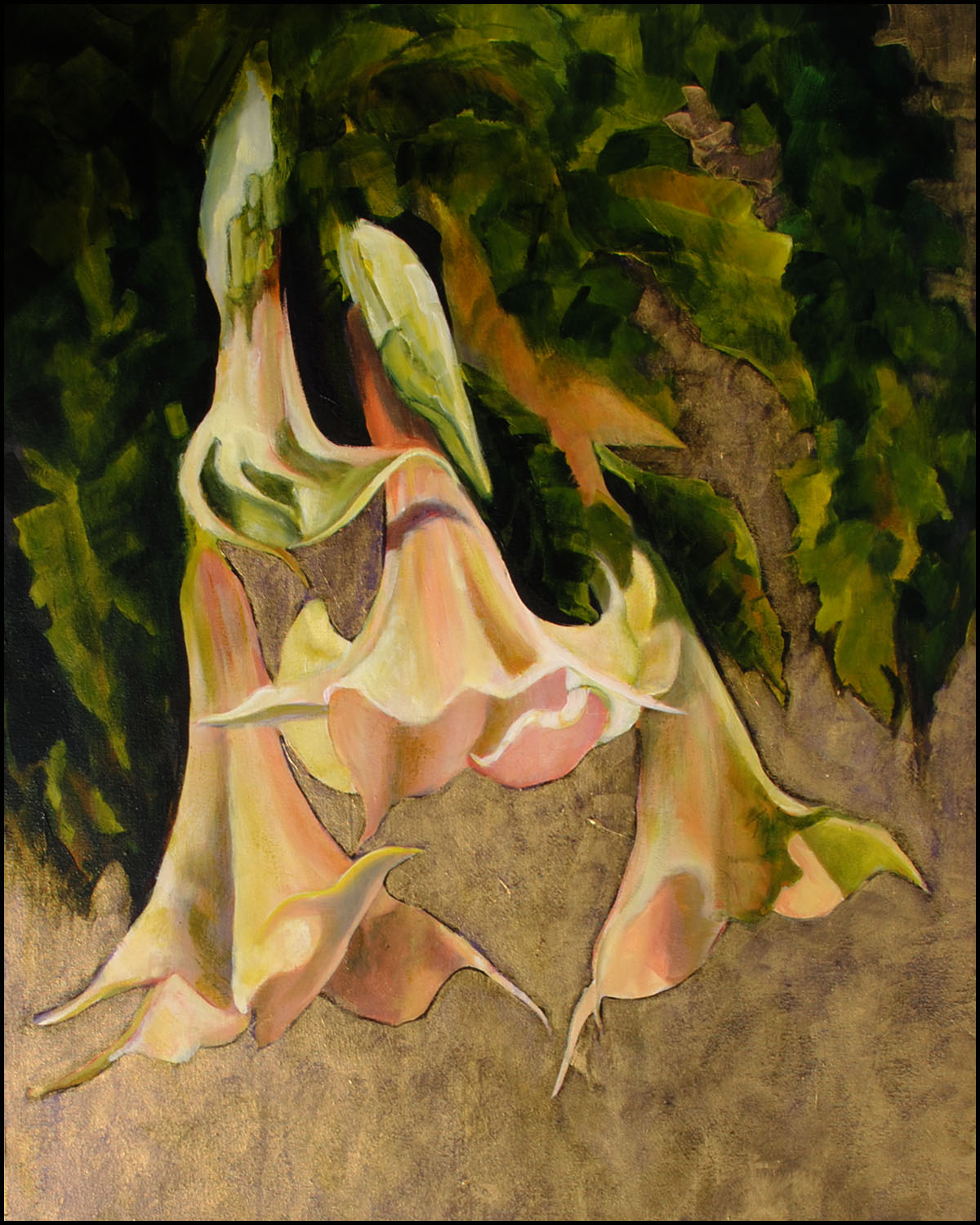 Brugmansia, painting by Phyllis Charles