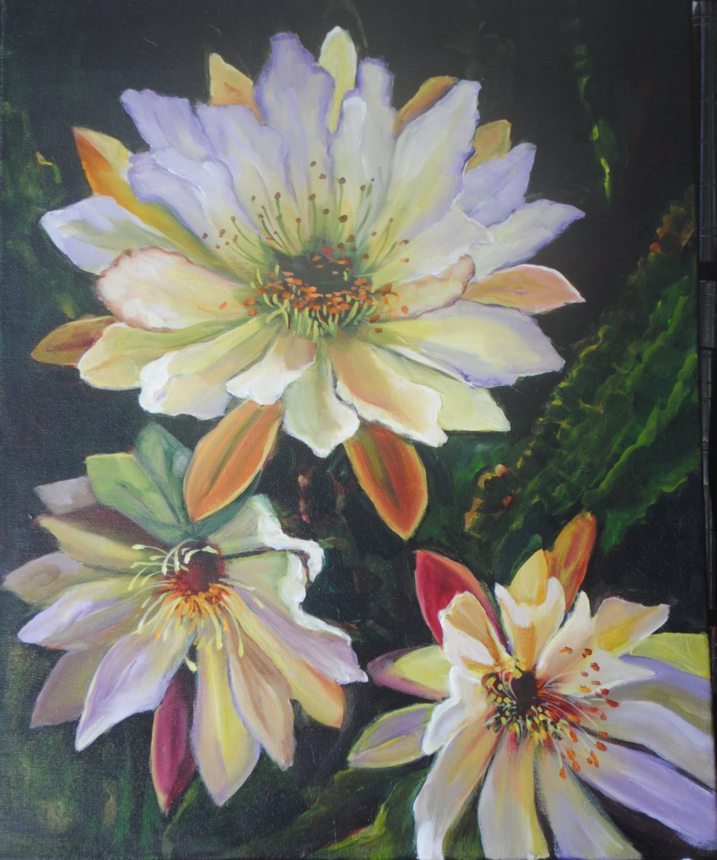 Cereus Peruana, painting by Phyllis Charles