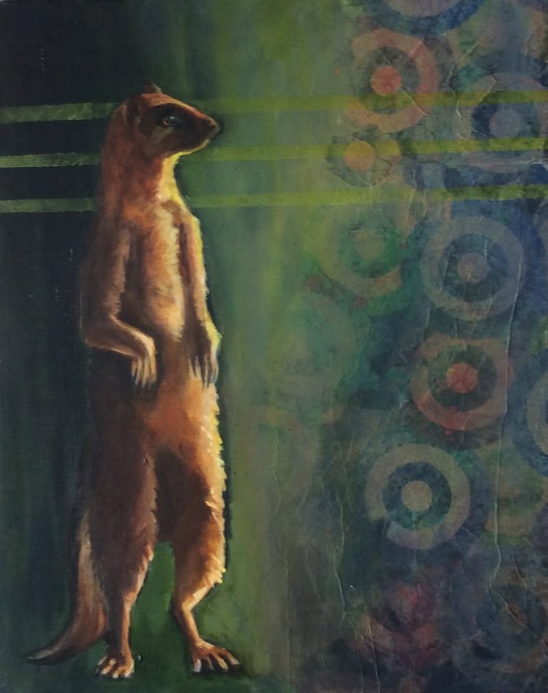 Mongoose, painting by Phyllis Charles