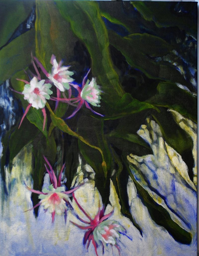 Nightblooming Cereus, painting by Phyllis Charles