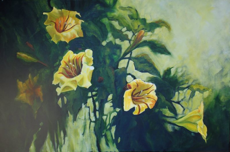 Solandra maxima, painting by Phyllis Charles