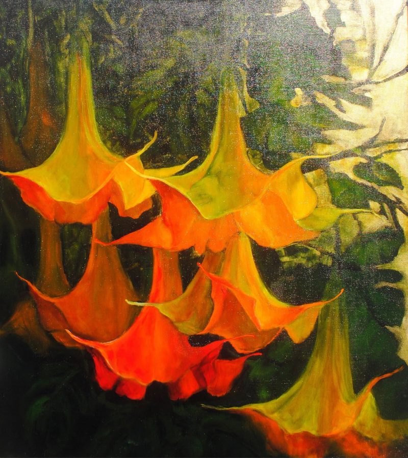 Sunset Datura, painting by Phyllis Charles