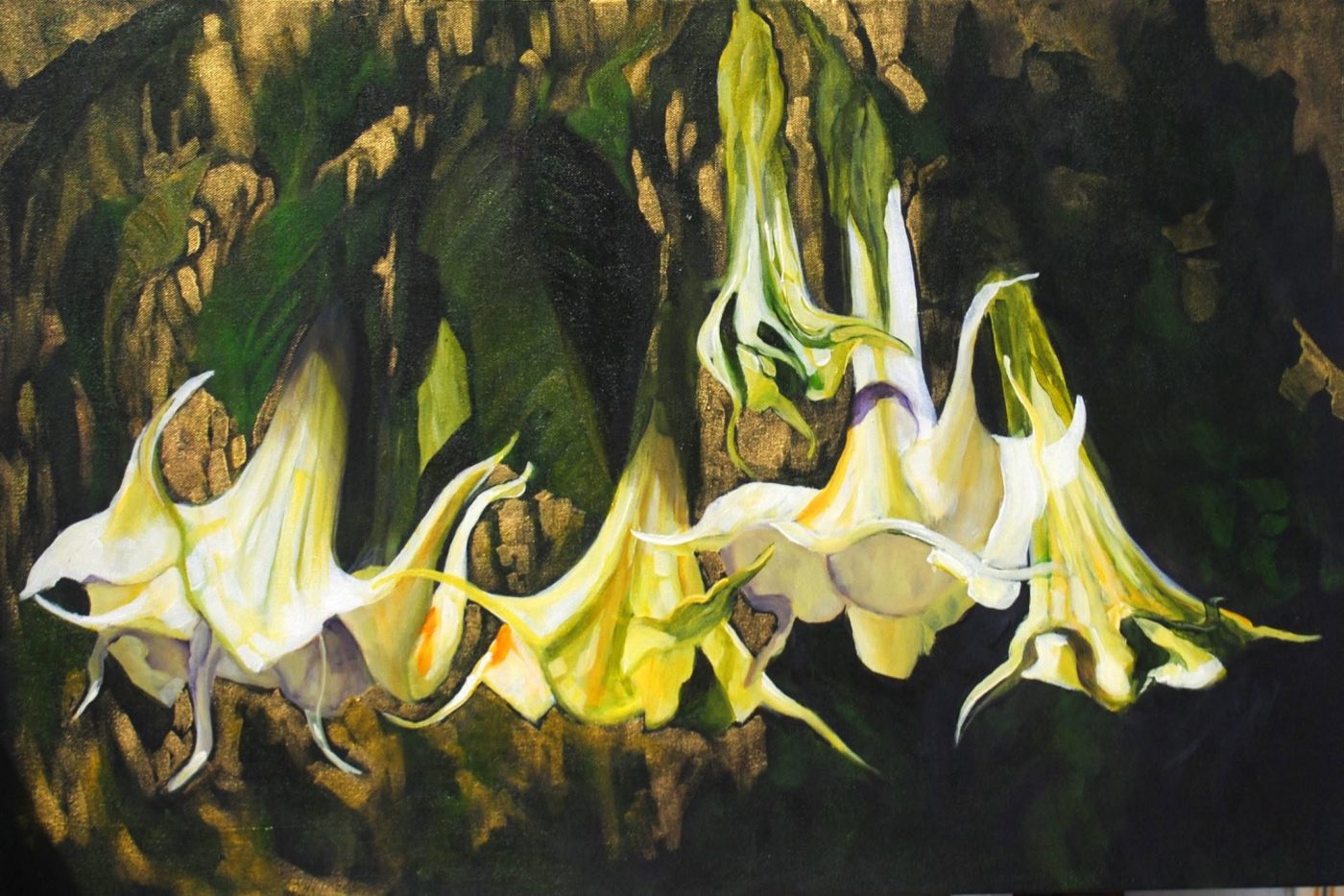 White Brugmansia, painting by Phyllis Charles