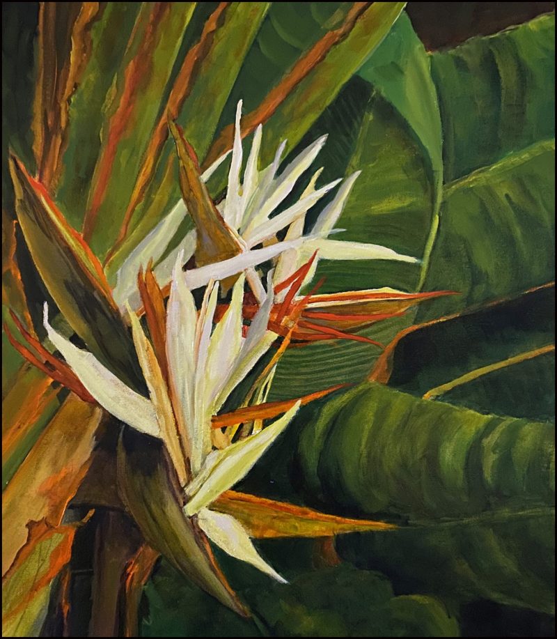 White Bird 4, painting by Phyllis Charles